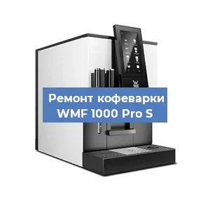 Чистка кофемашины WMF 1000 Pro S от накипи в Нижнем Новгороде